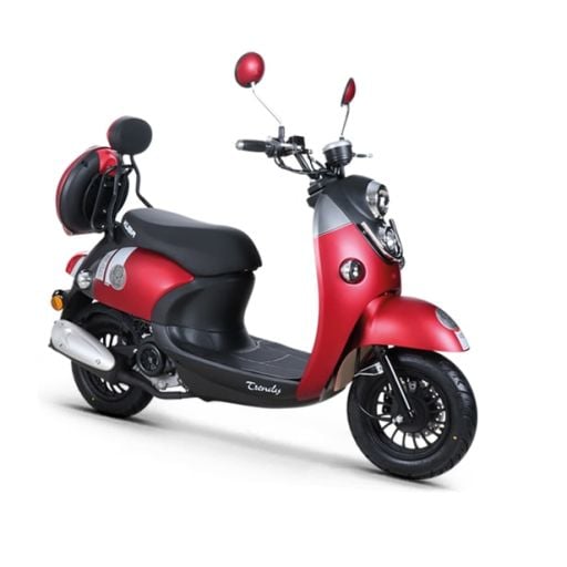 Trendy 50