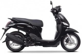 D'elight 115