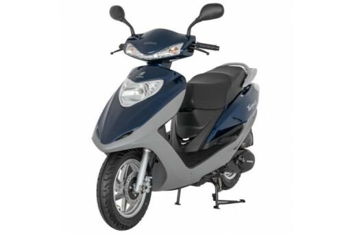 NT 100
