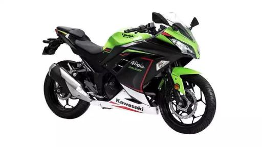 Ninja 300 EX