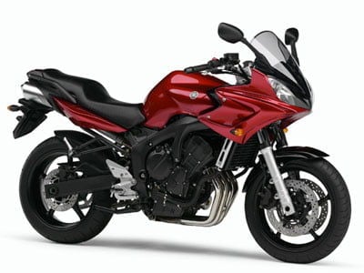 FZS 600