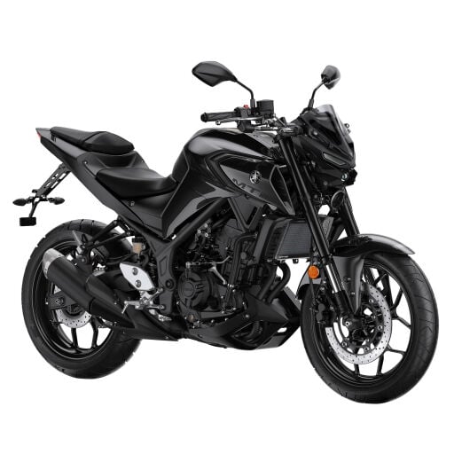 MT 03
