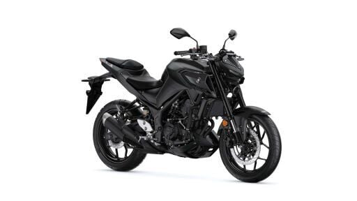 MT 25
