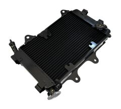 Bajaj Dominar 250 Radyatör Orjinal 2020-2023 (JF601215)
